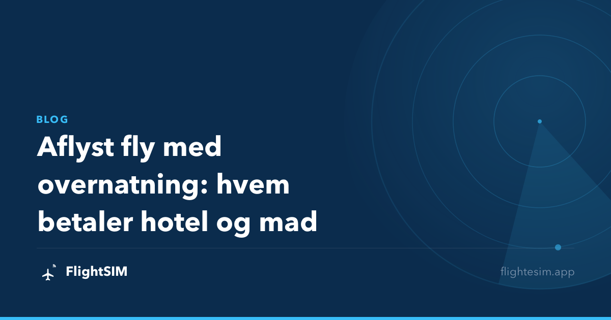 Aflyst fly med overnatning: hvem betaler hotel og mad