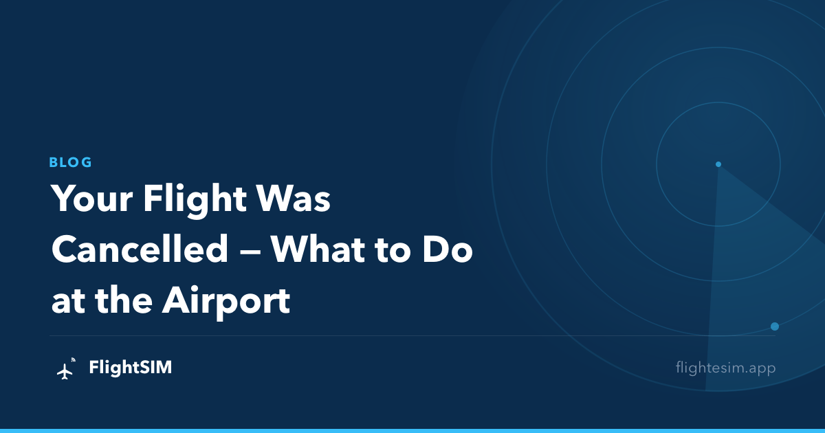 Your Flight Was Cancelled — What to Do at the Airport