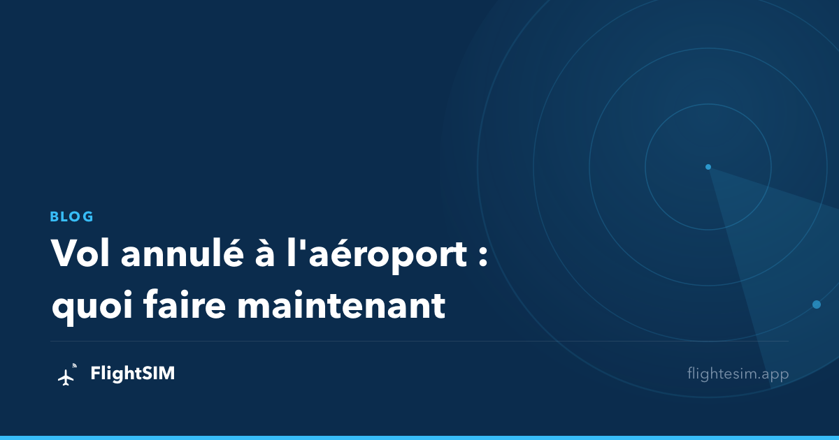 Vol annulé à l'aéroport : quoi faire maintenant