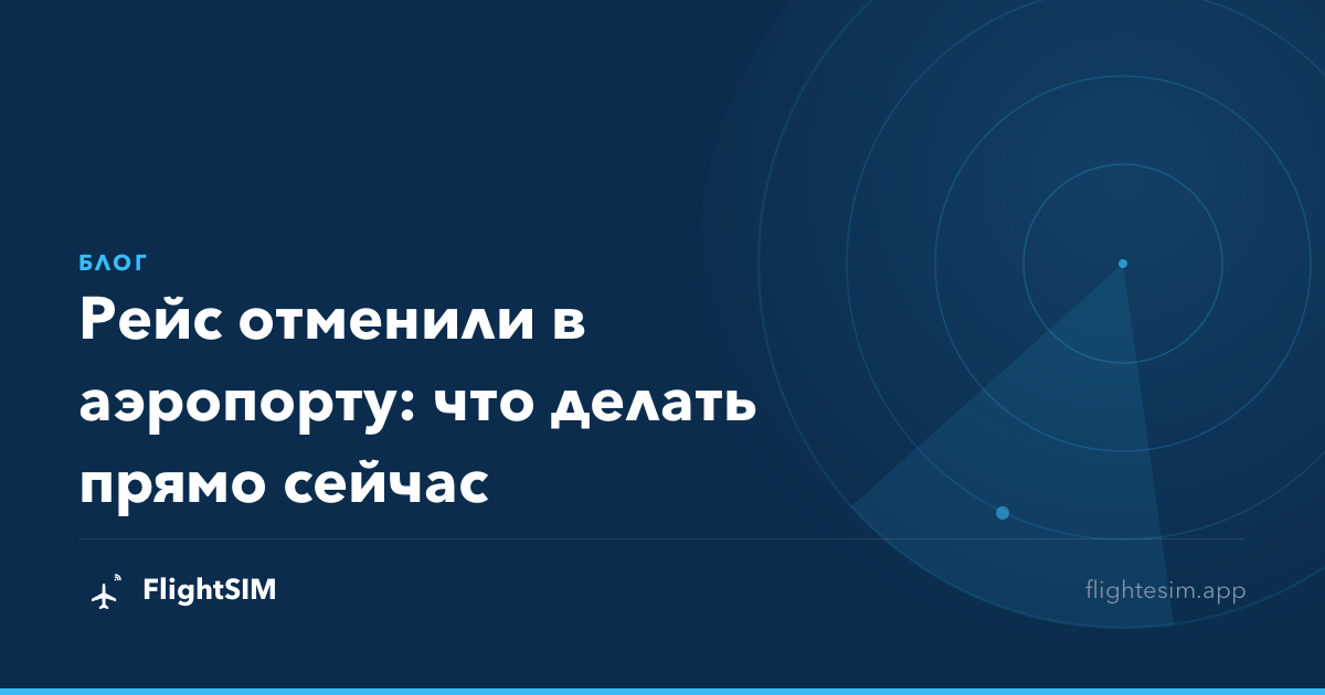 Рейс отменили в аэропорту: что делать прямо сейчас