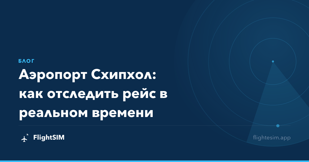Аэропорт Схипхол: как отследить рейс в реальном времени