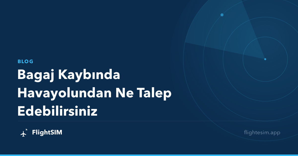 Bagaj Kaybında Havayolundan Ne Talep Edebilirsiniz