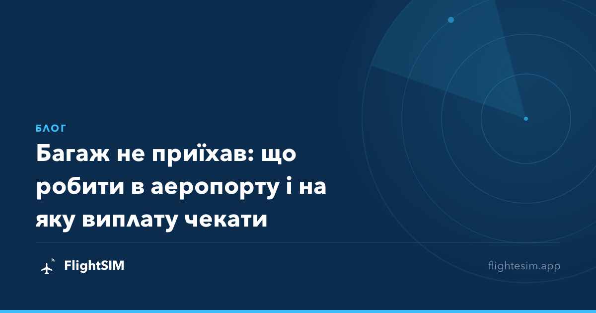 Багаж не приїхав: що робити в аеропорту і на яку виплату чекати