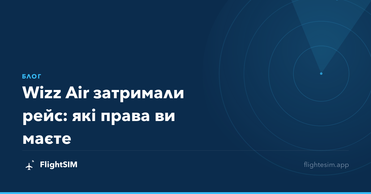 Wizz Air затримали рейс: які права ви маєте
