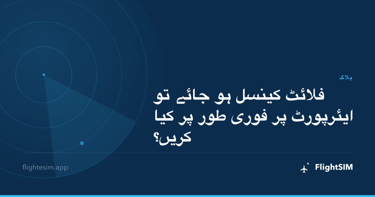 فلائٹ کینسل ہو جائے تو ایئرپورٹ پر فوری طور پر کیا کریں؟